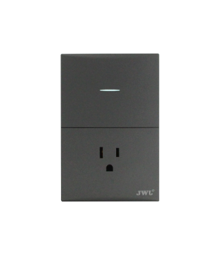PLACA CON INTERRUPTOR SENCILLO Y UN TOMA CORRIENTE (JTL-G7744)