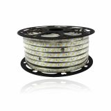 Manguera LED 3 leds Líneas 50M