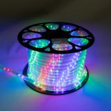 Manguera LED redonda Multicolor 50M