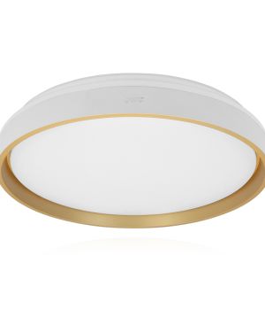 Lámpara  de techo JLAR-5011