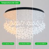 Lámpara de techo JLAR-5015