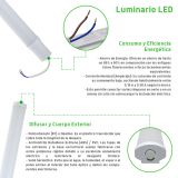 Regleta LED 40w IP65
