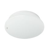 Plaf?n Led Decorativo Estilo 3