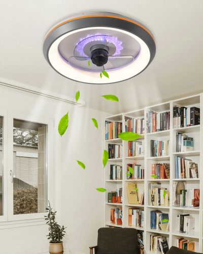 Ventilador de Techo