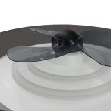 Ventilador de Techo