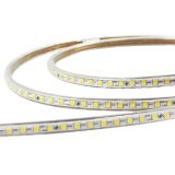 Manguera LED 1 Linea 50 Metros