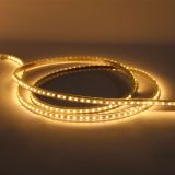 Manguera LED 1 Linea 50 Metros