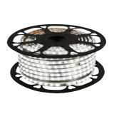 Manguera Led 5050 50 metros