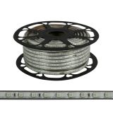 Manguera Led 5050 50 metros