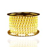 Manguera Led 2 leds50 Metros