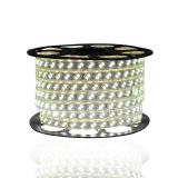 Manguera Led 2 leds50 Metros