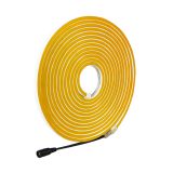 Tira Led Ne?n Flex 5mts Monocolor