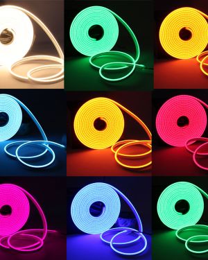 Tira Led Ne?n Flex 5mts Monocolor